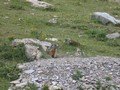 Photo de montagne