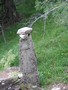 Photo de montagne