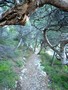Photo de calanques