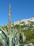 Photo de calanques