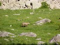 Photo de montagnes