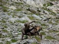 Photo de montagnes