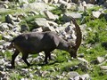 Photo de montagnes