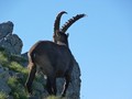 Photo de montagnes