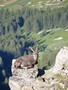 Photo de montagnes