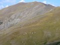 Photo de montagne