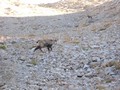 Photo de montagne
