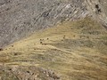 Photo de montagne