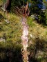 Photo de montagne