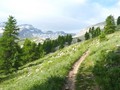 Photo de montagne