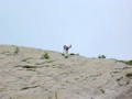 Photo de montagne