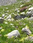 Photo de montagne